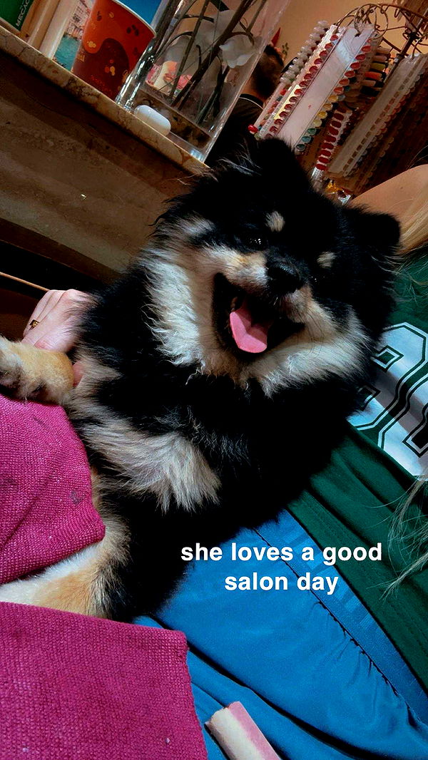 kaygcarlson image ~ Altpins