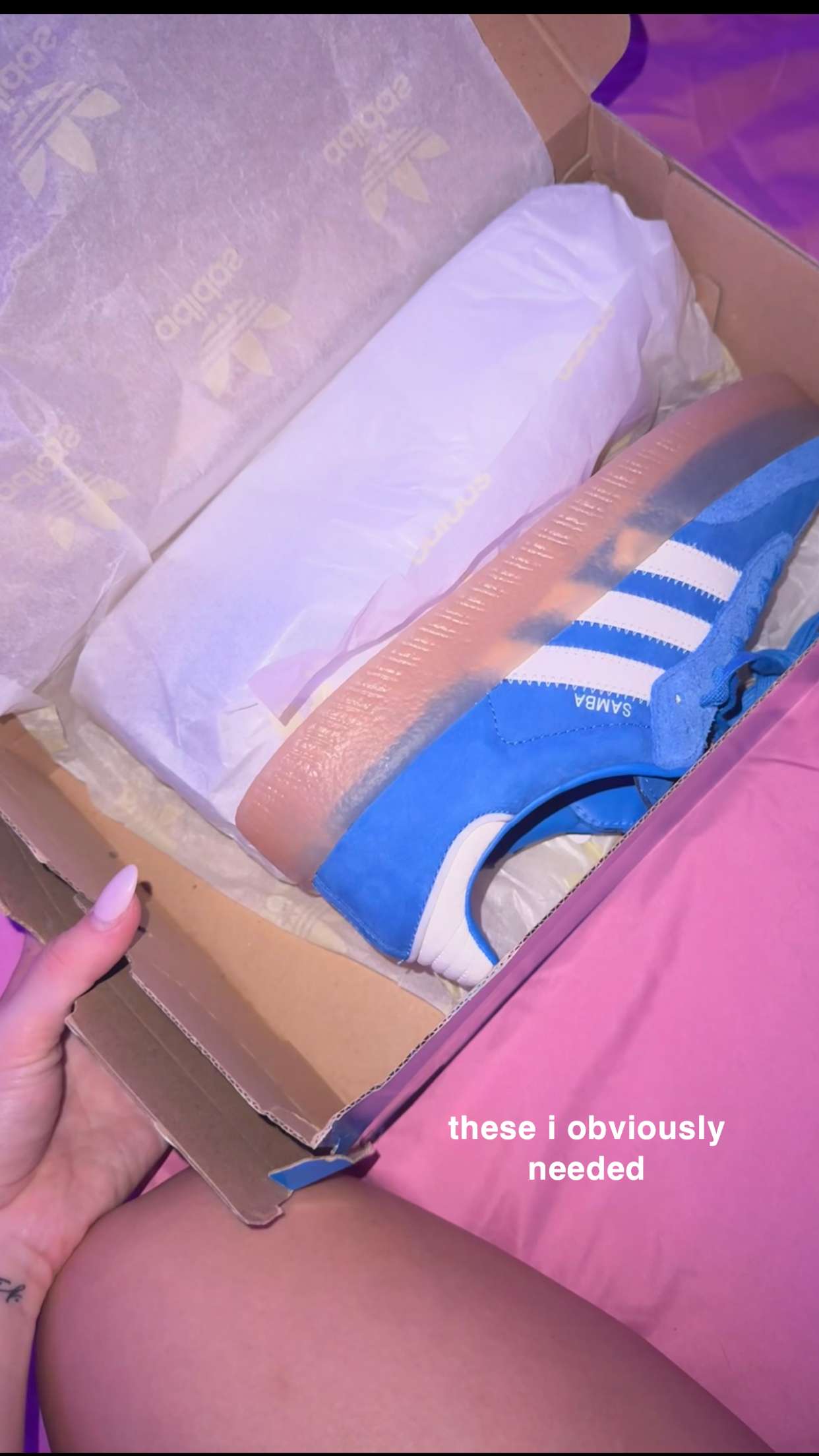 kaygcarlson snapchat image archive image