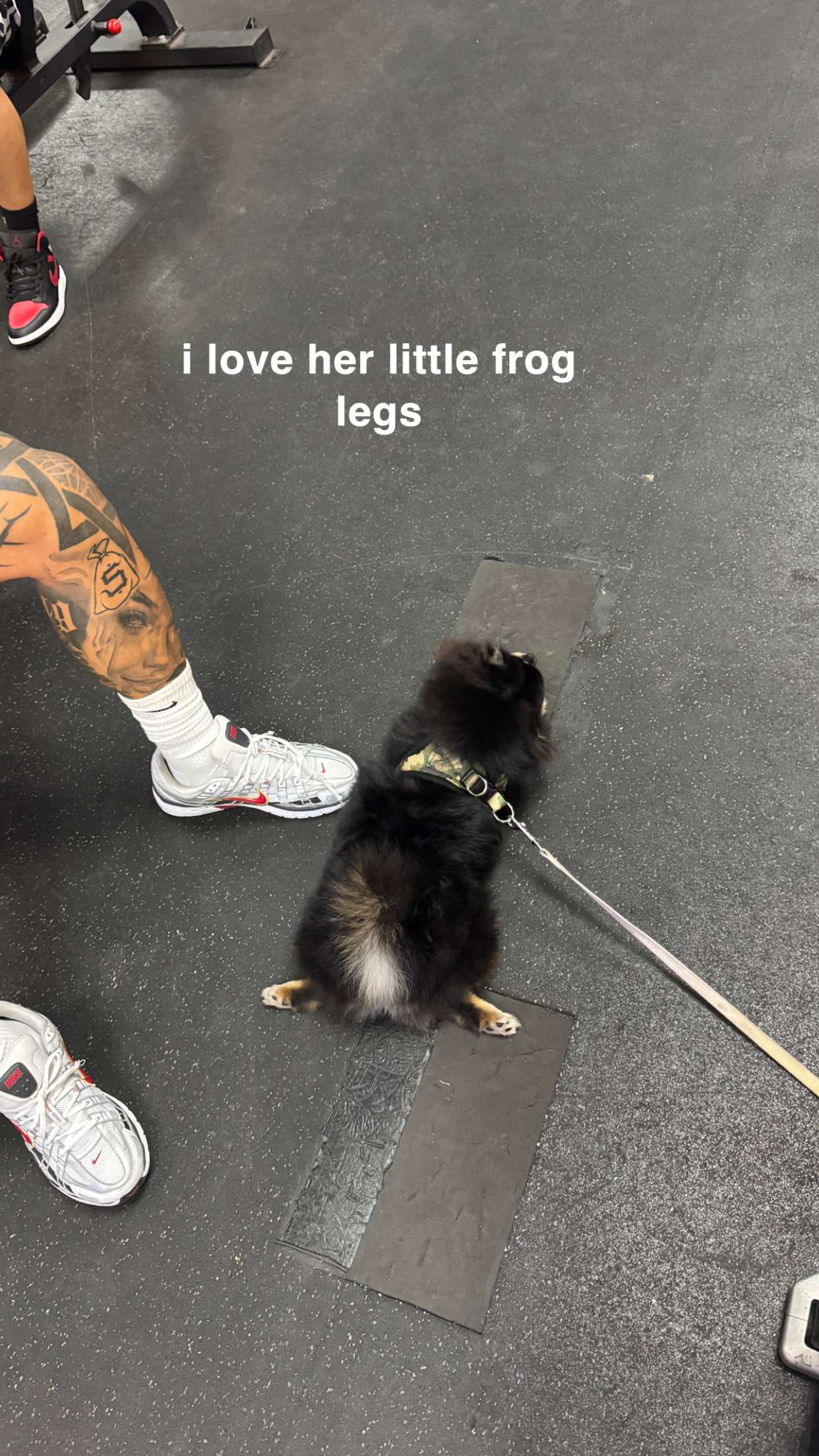 kaygcarlson snapchat image archive image