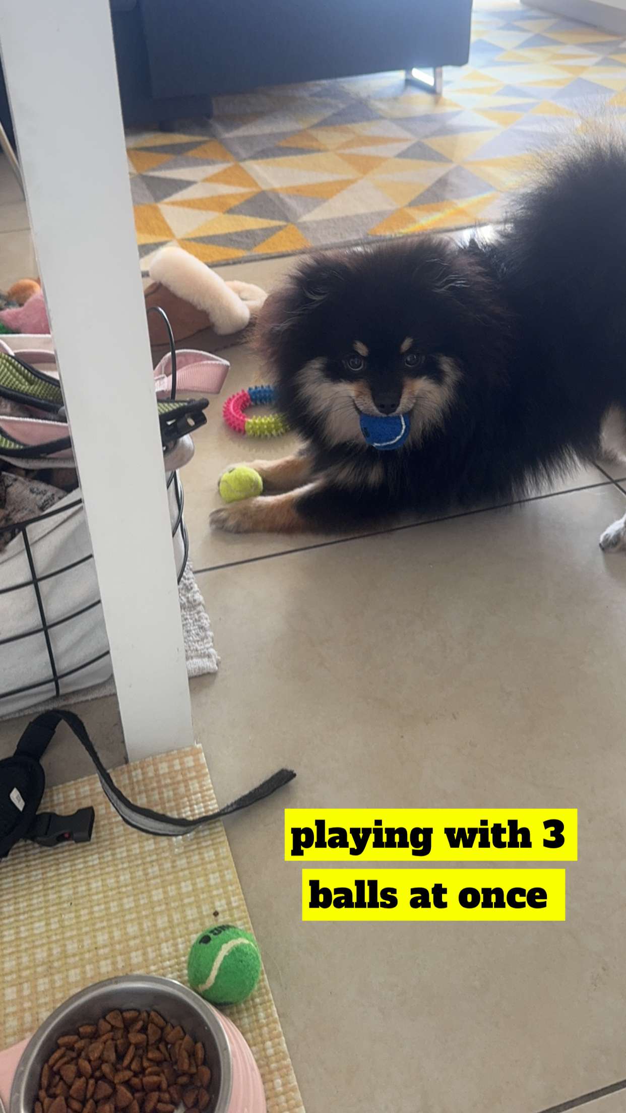 kaygcarlson snapchat image archive image