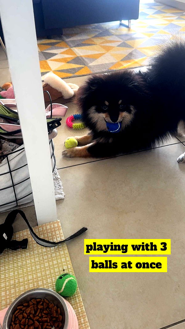 kaygcarlson image ~ Altpins