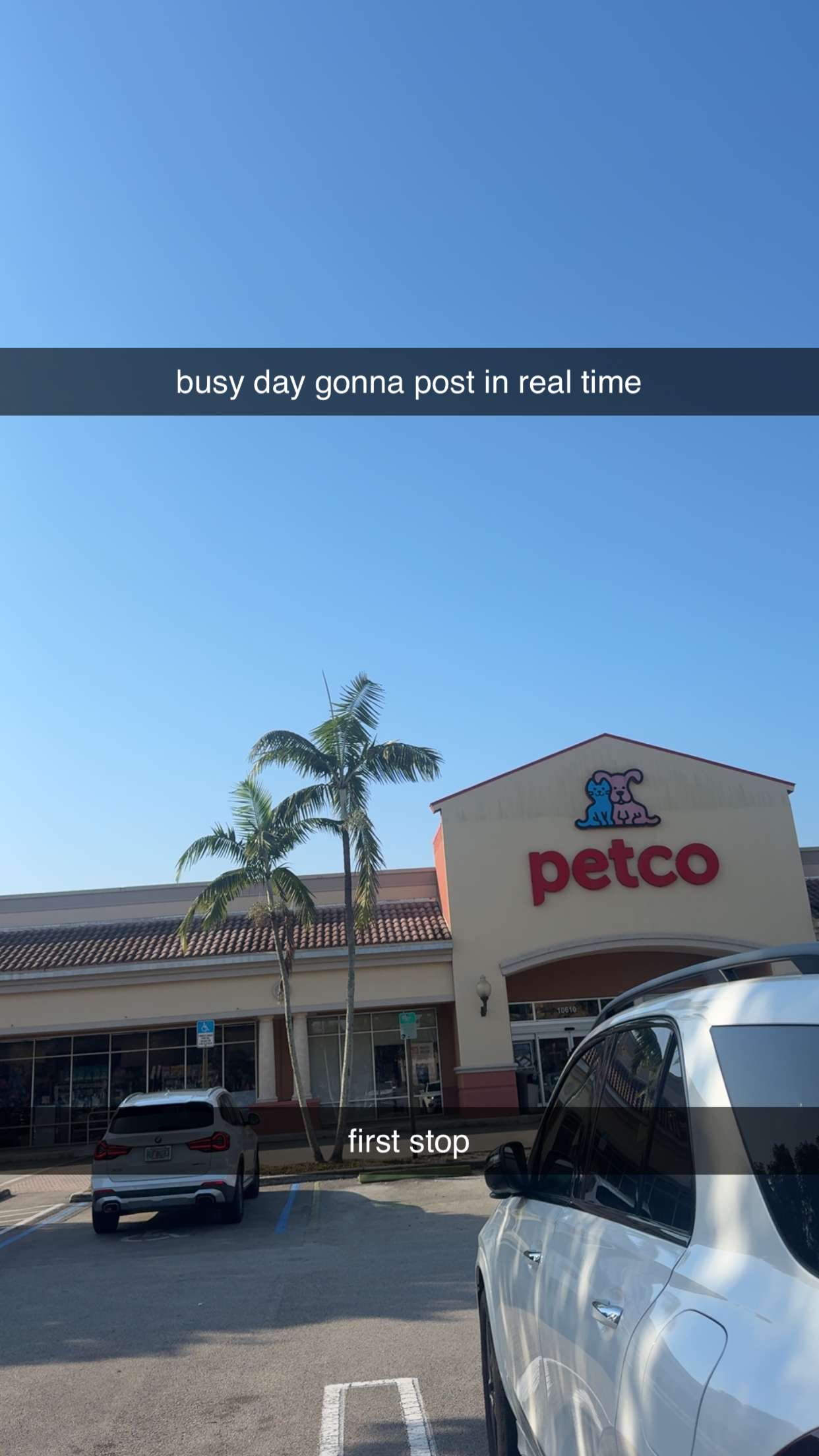 kaygcarlson snapchat image archive image