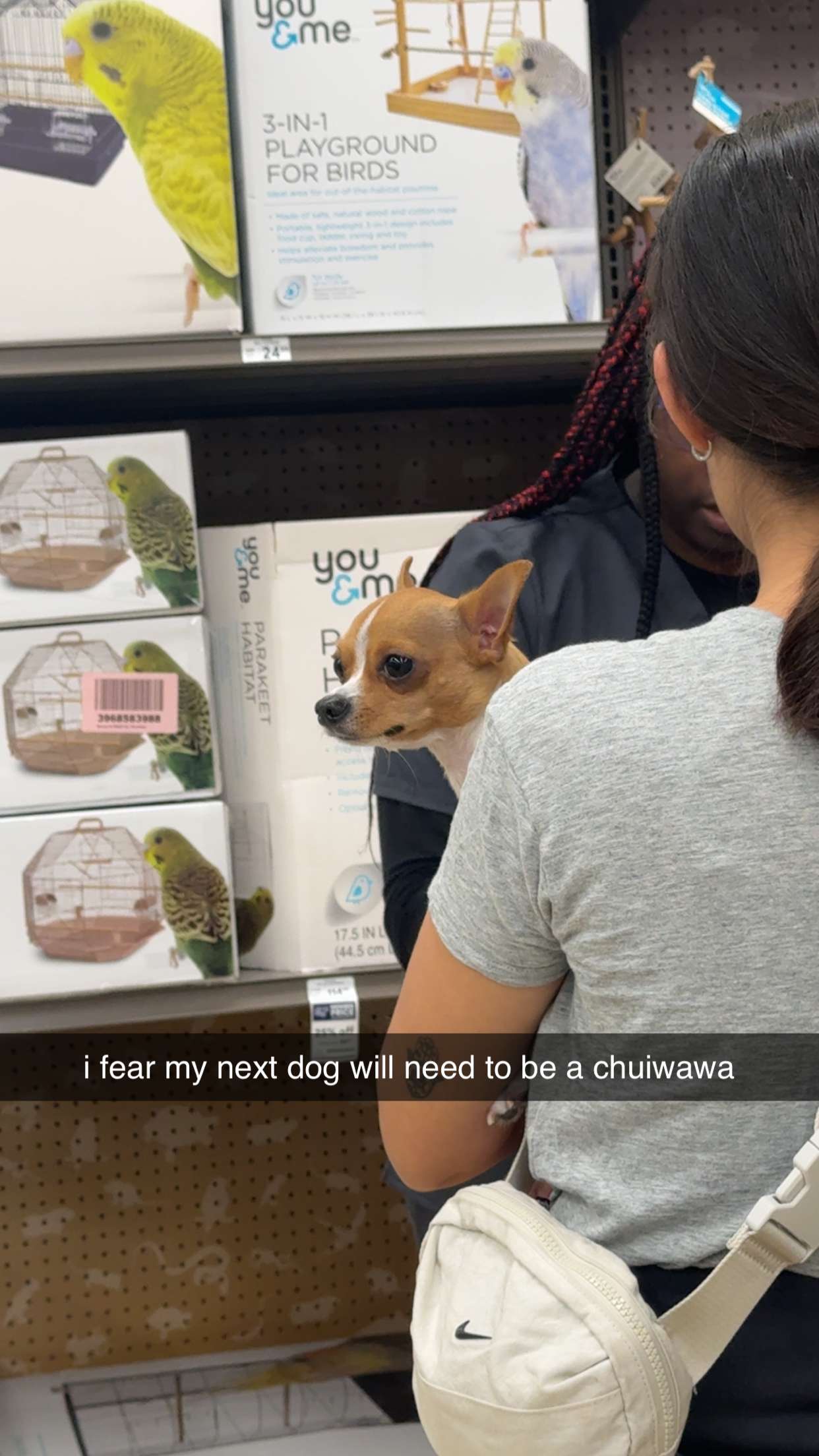 kaygcarlson snapchat image archive image