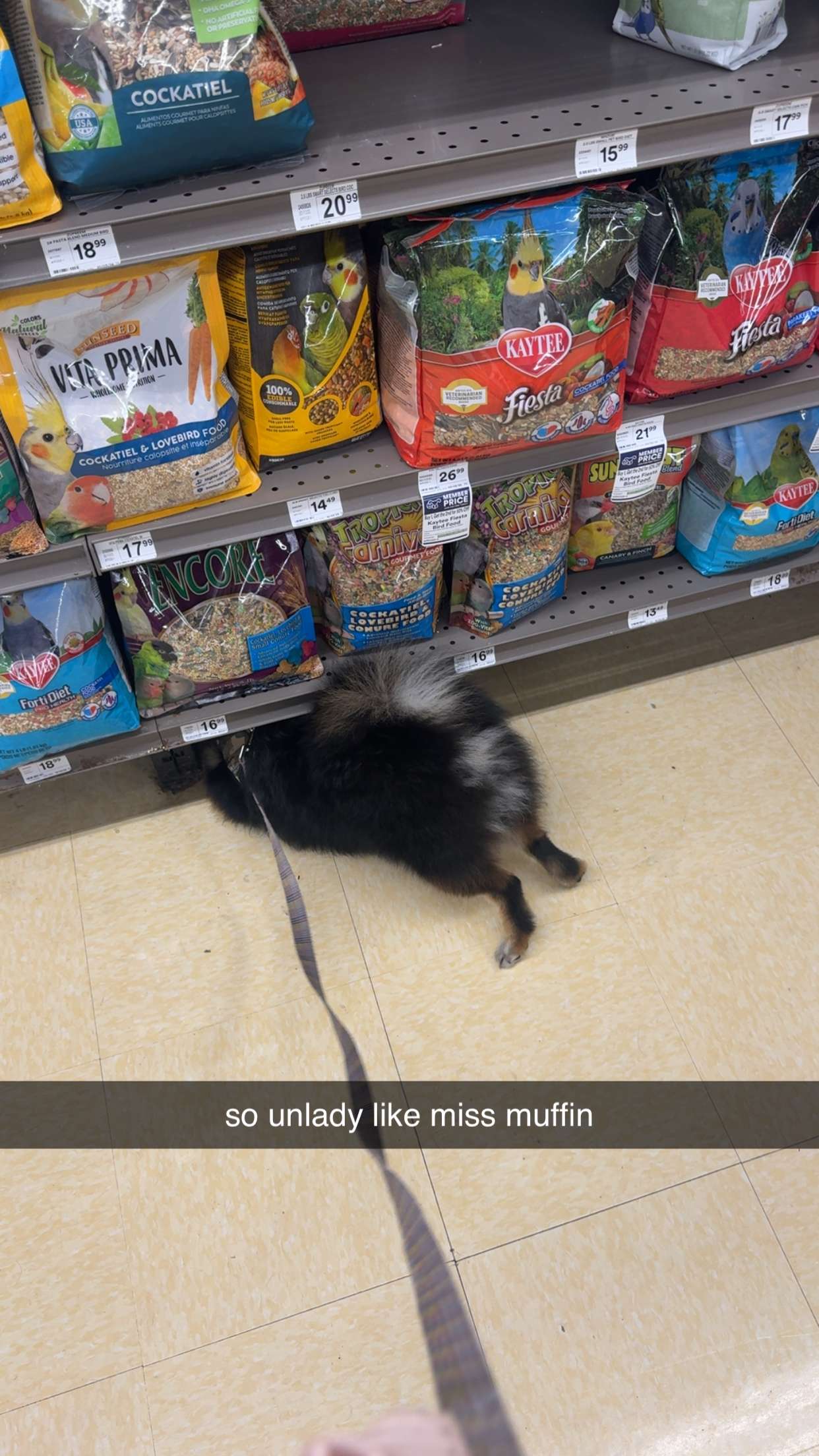 kaygcarlson snapchat image archive image