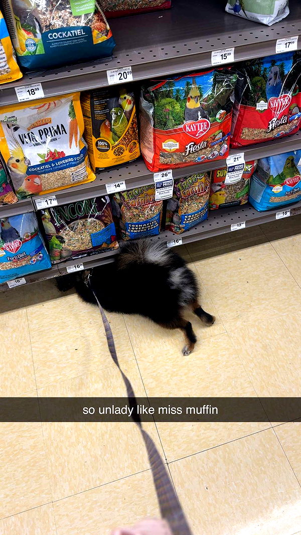 kaygcarlson image ~ Altpins