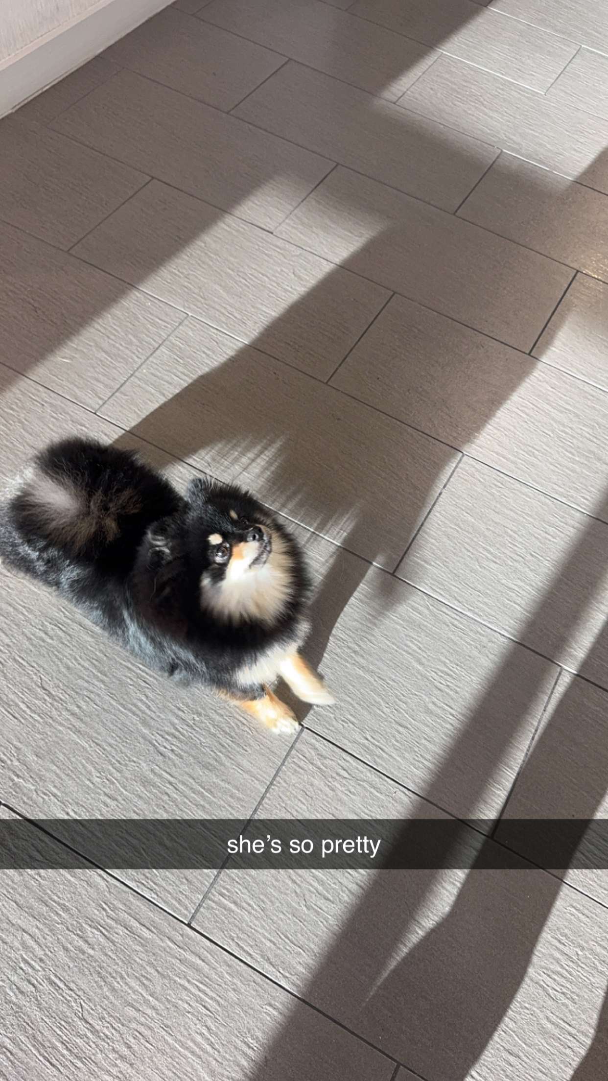 kaygcarlson snapchat image archive image