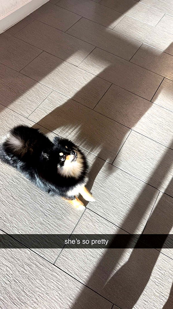 kaygcarlson image ~ Altpins