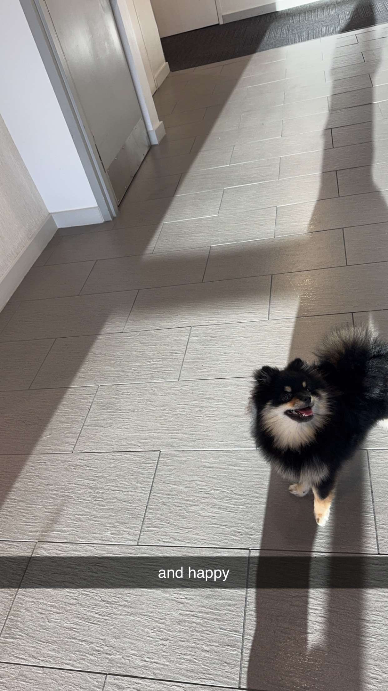 kaygcarlson snapchat image archive image