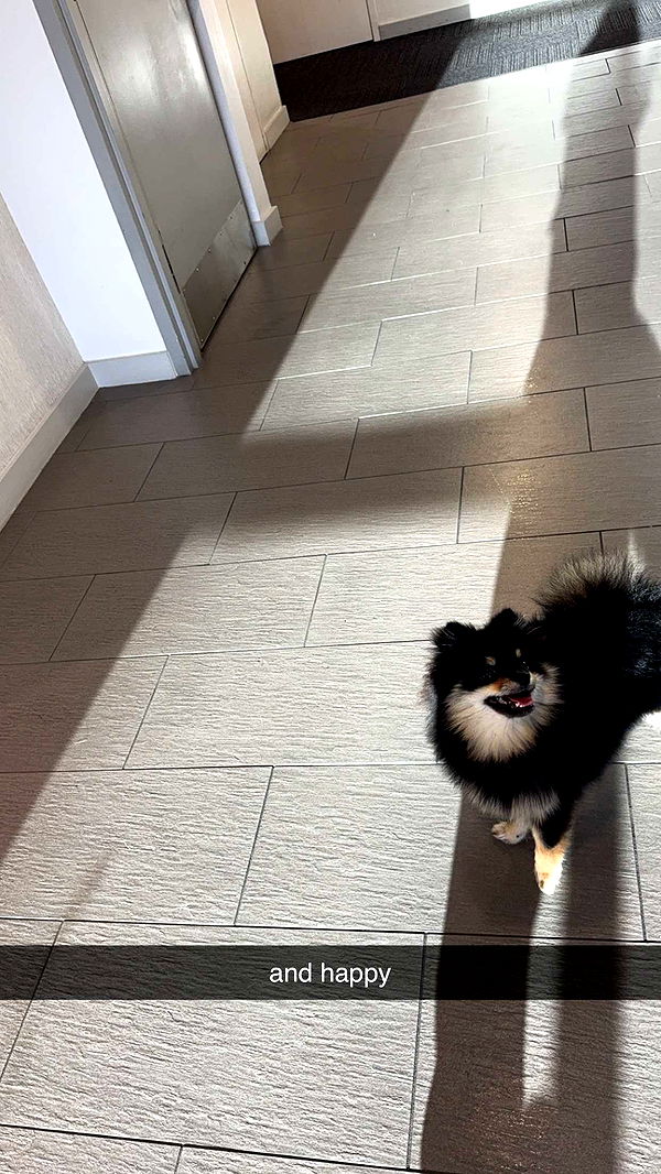 kaygcarlson image ~ Altpins