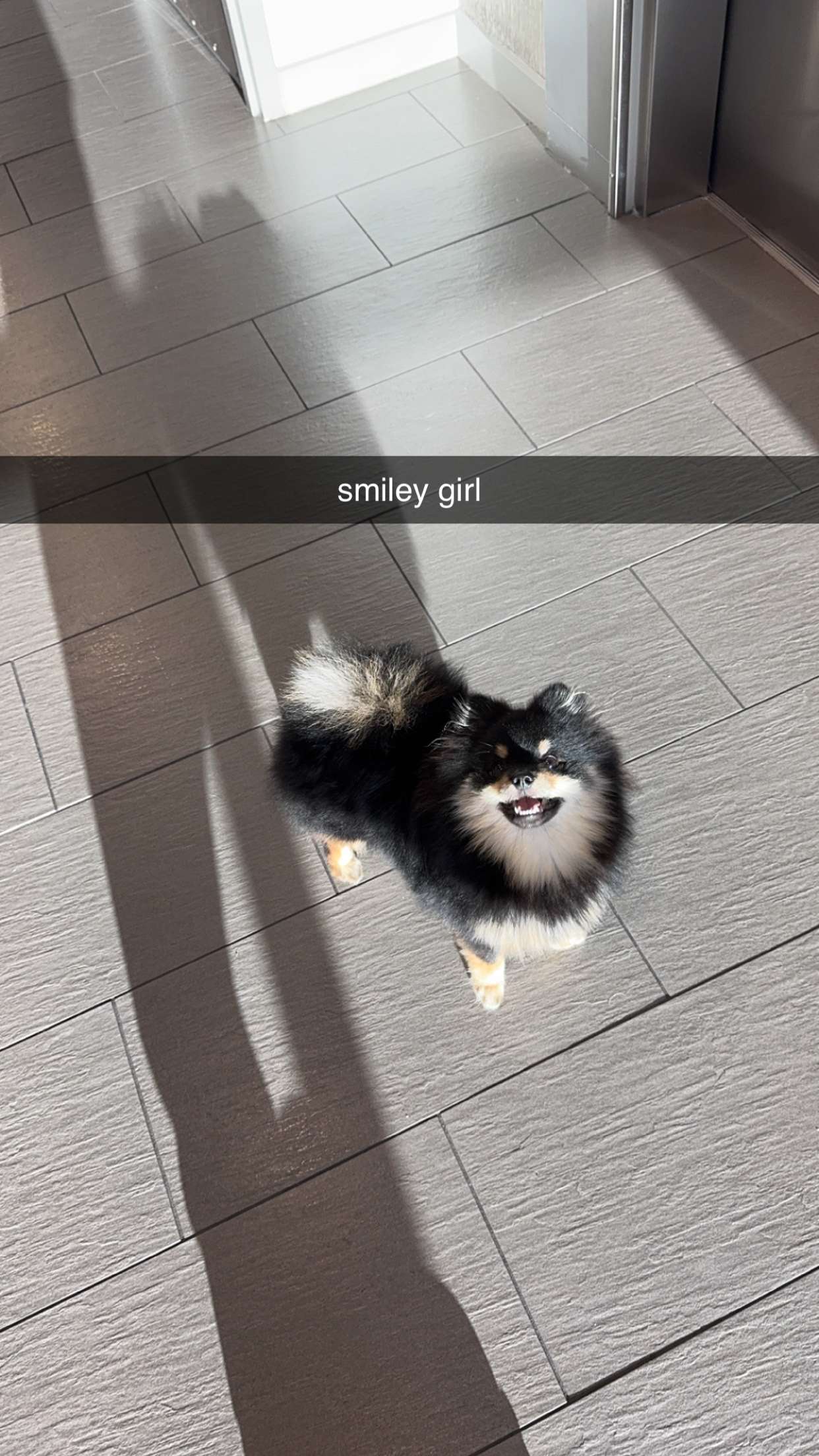 kaygcarlson snapchat image archive image