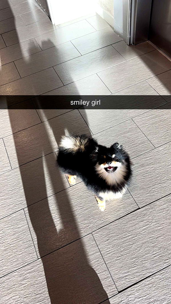 kaygcarlson image ~ Altpins