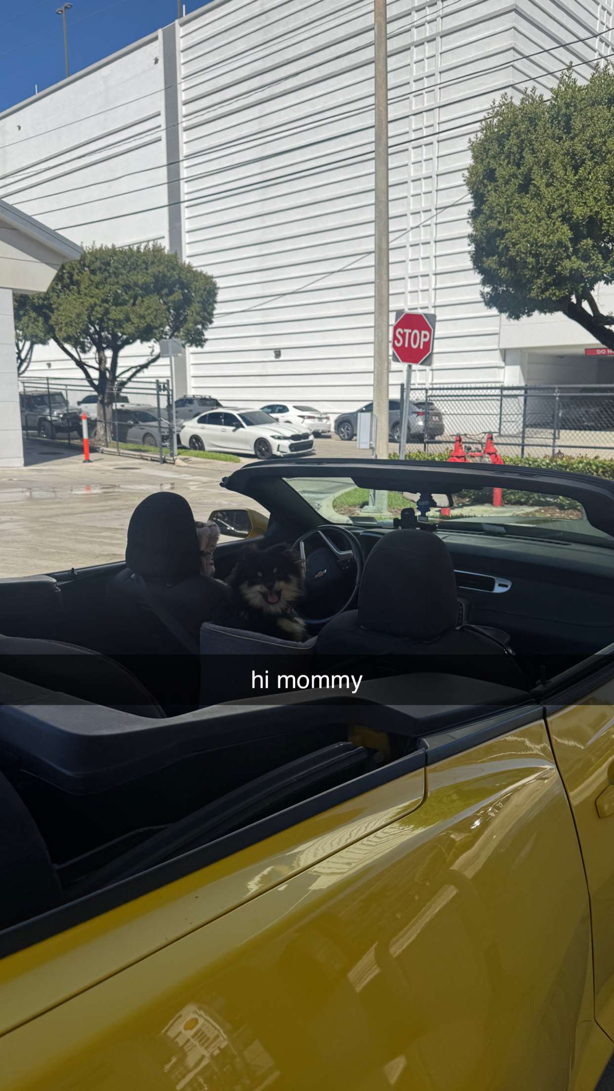 kaygcarlson snapchat image archive image