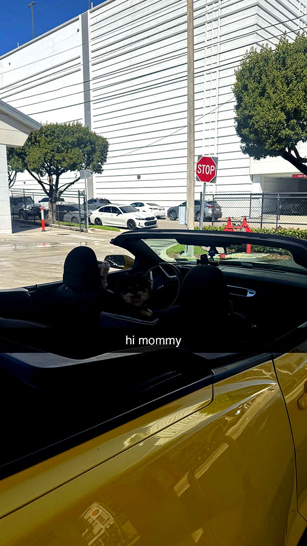 kaygcarlson image ~ Altpins