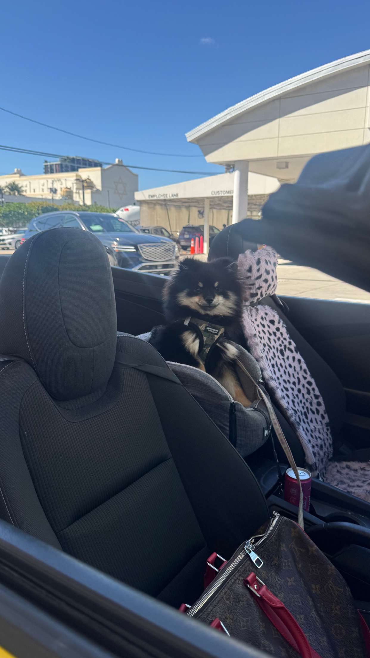 kaygcarlson snapchat image archive image