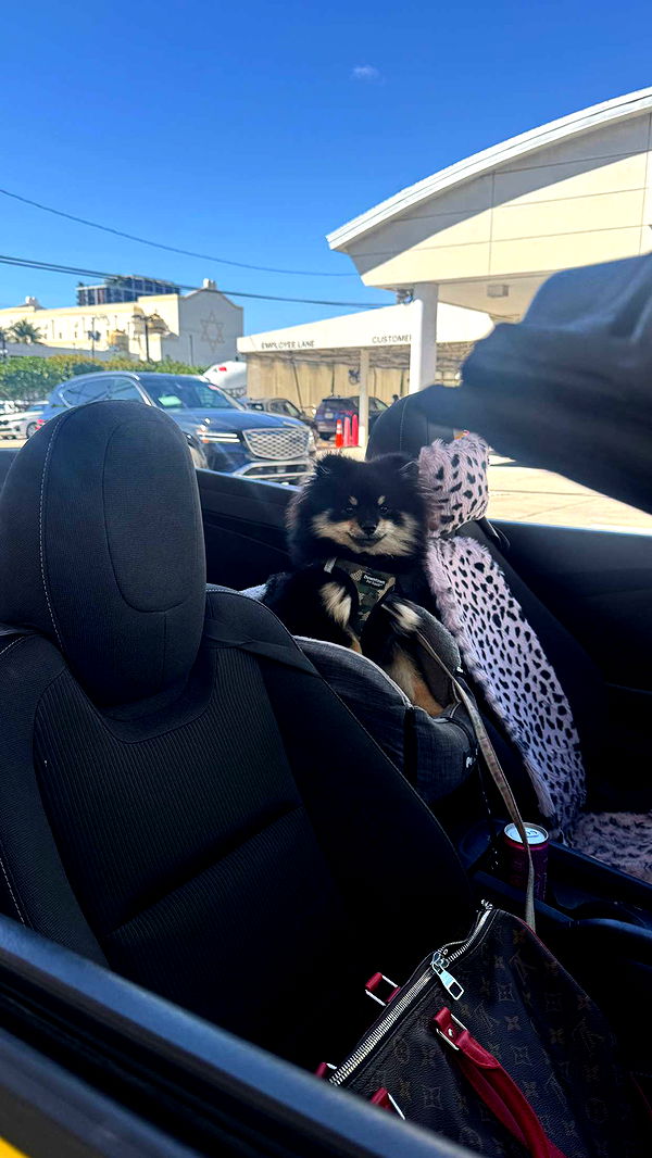 kaygcarlson image ~ Altpins