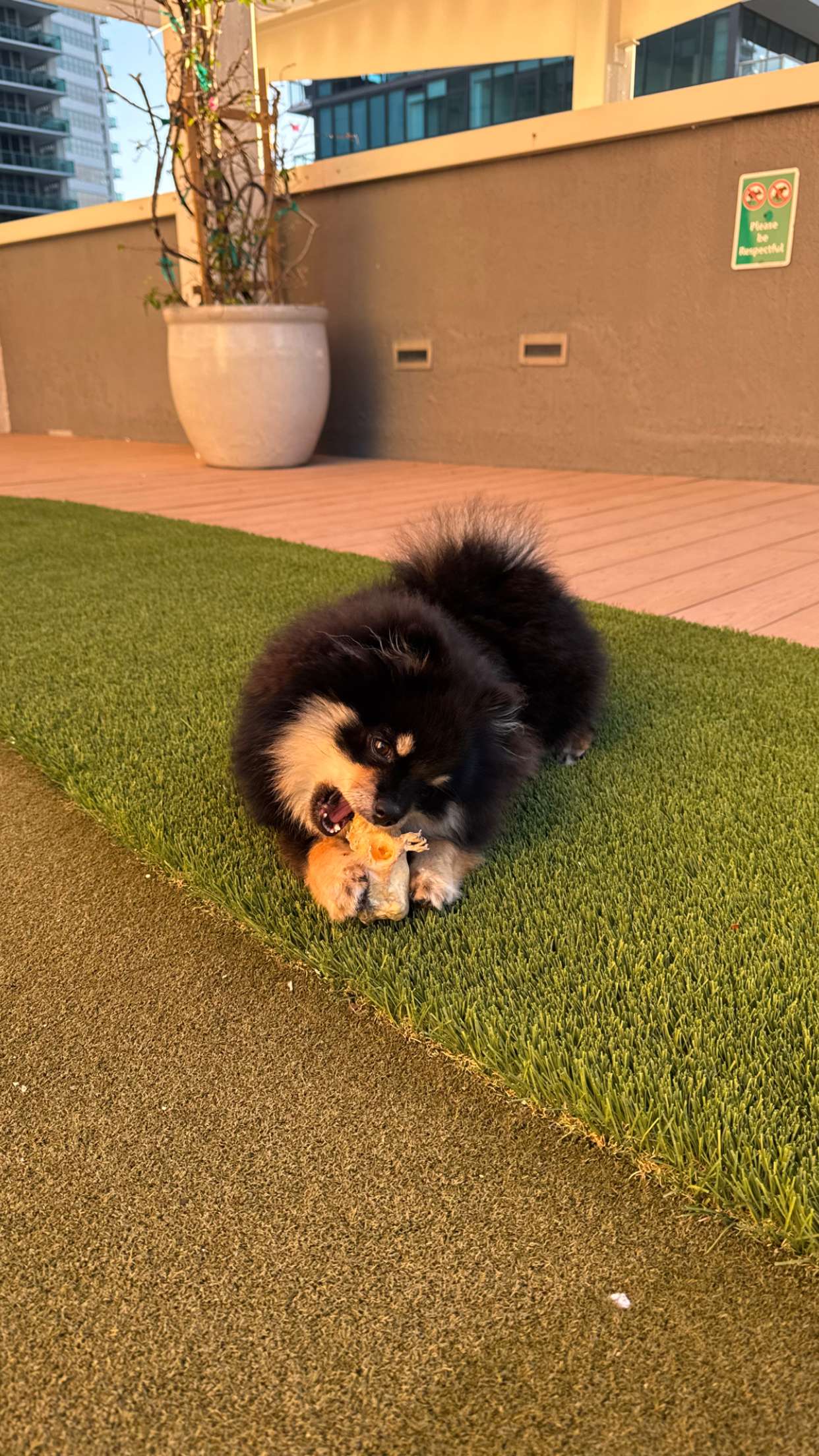 kaygcarlson snapchat image archive image