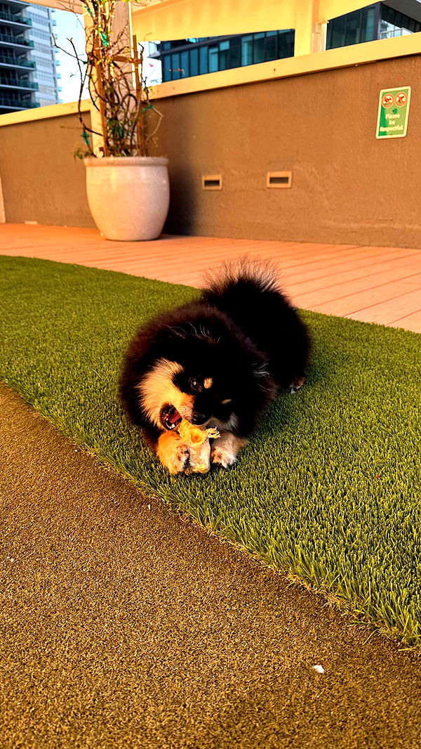 kaygcarlson image ~ Altpins