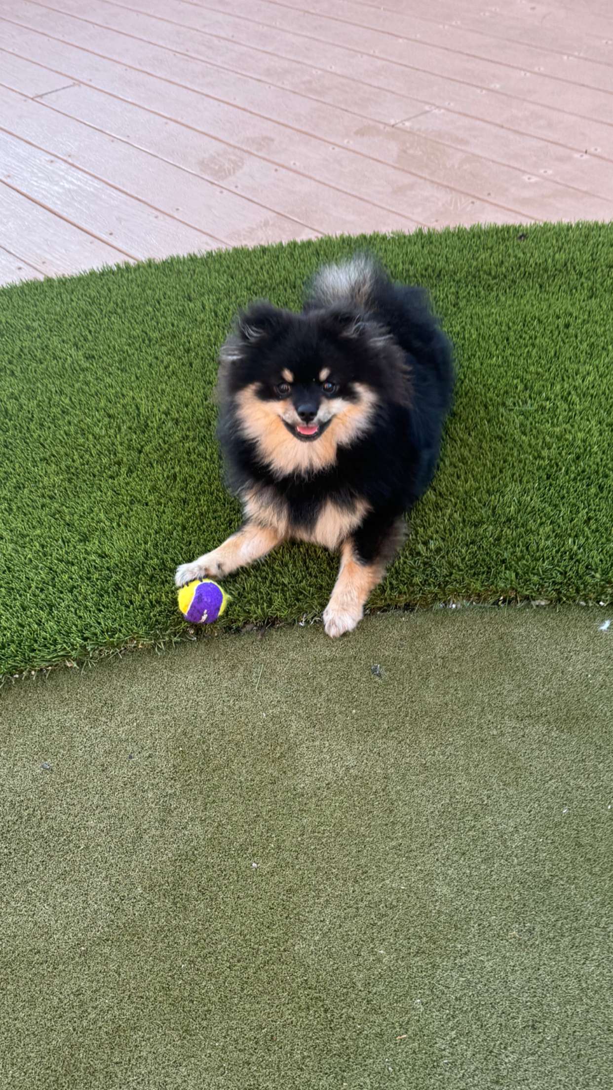 kaygcarlson snapchat image archive image