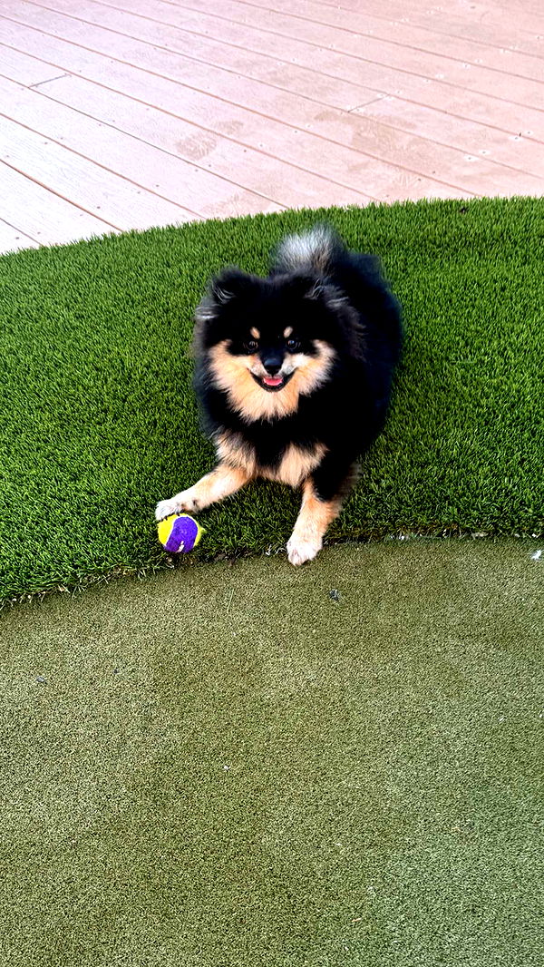 kaygcarlson image ~ Altpins