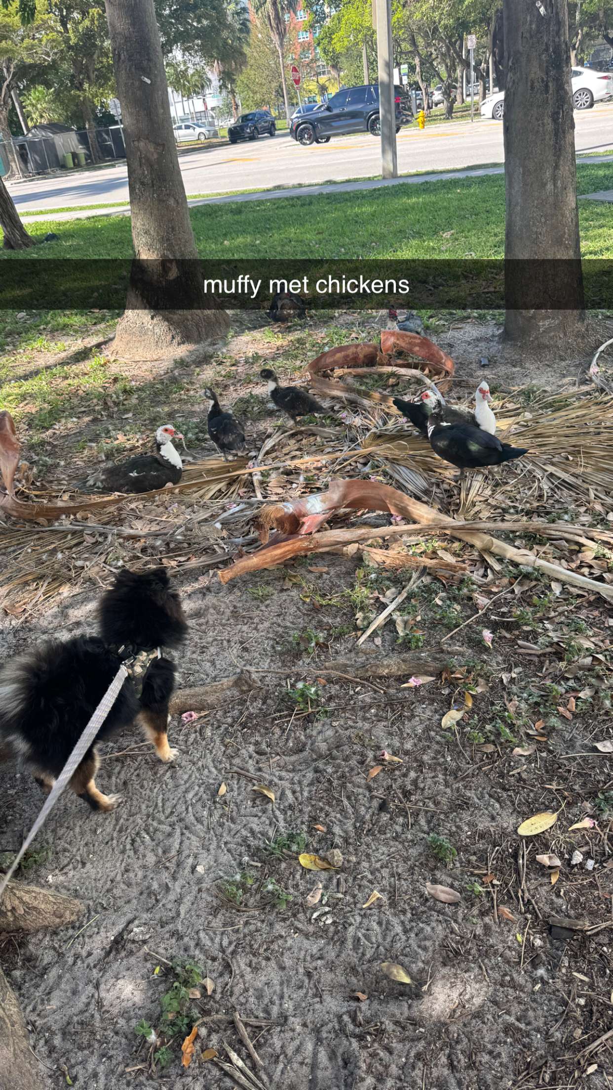 kaygcarlson snapchat image archive image