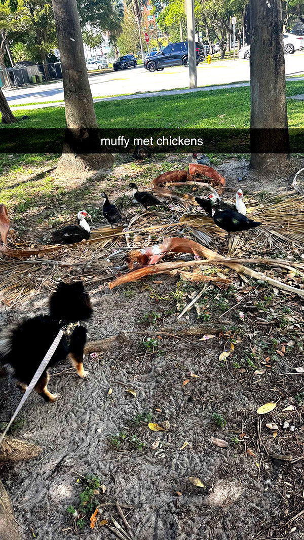 kaygcarlson image ~ Altpins