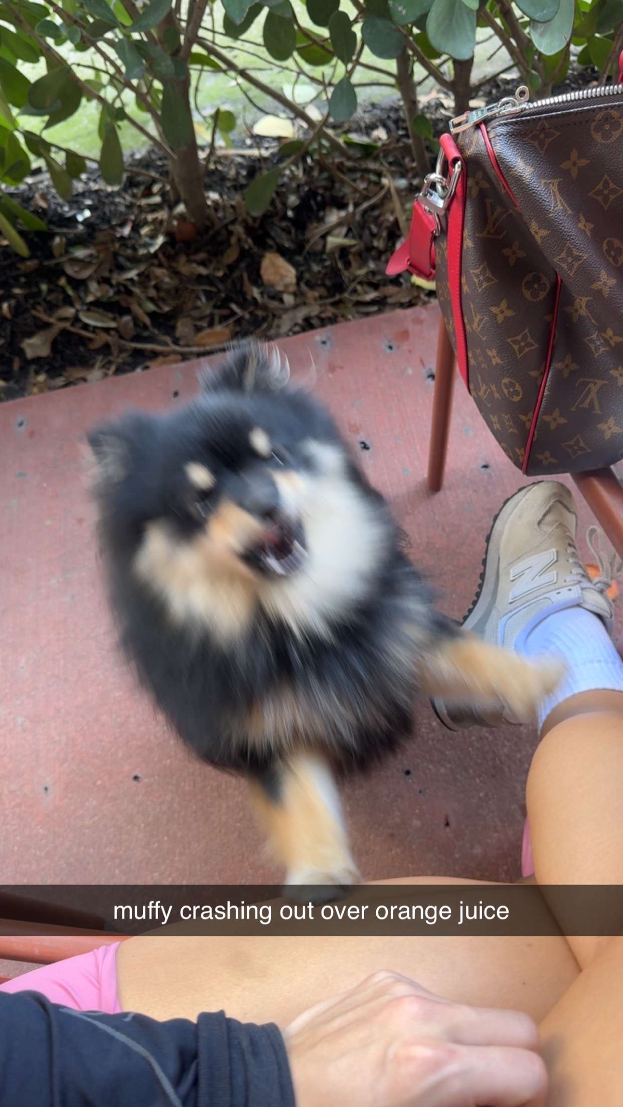 kaygcarlson snapchat image archive image