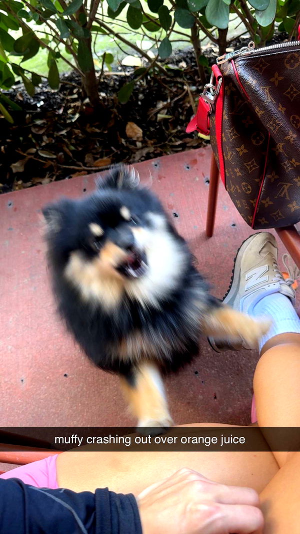 kaygcarlson image ~ Altpins