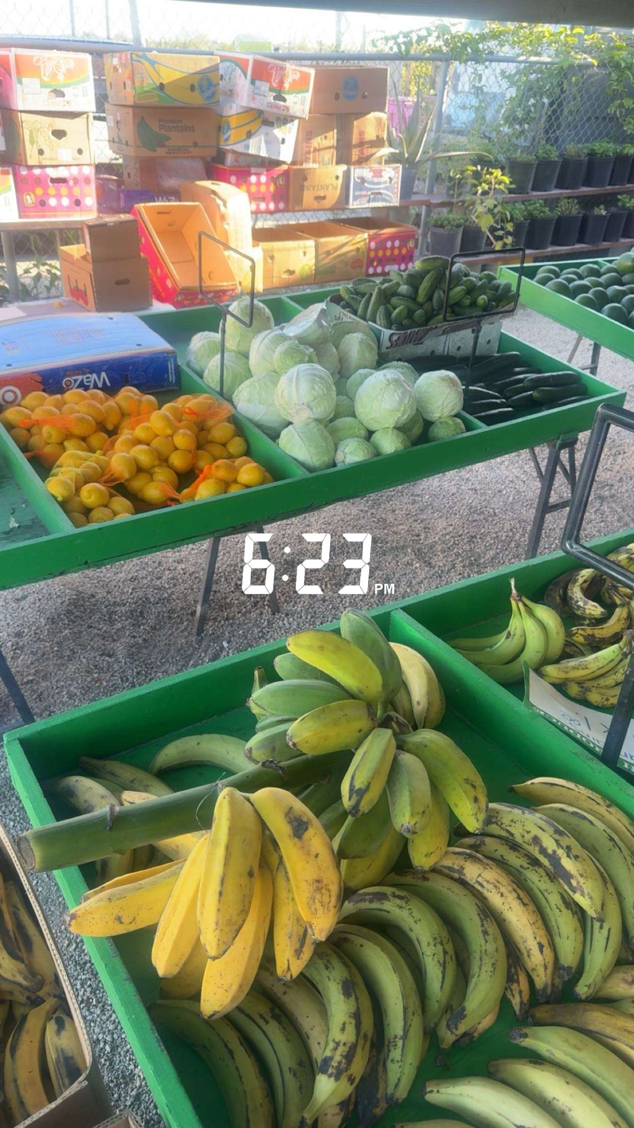 kaygcarlson snapchat image archive image