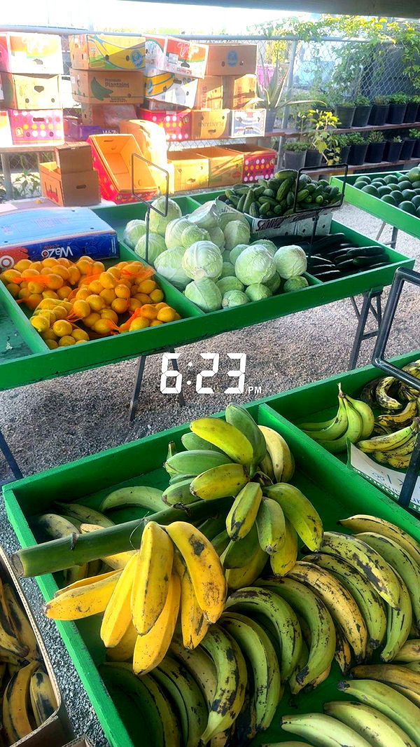 kaygcarlson image ~ Altpins