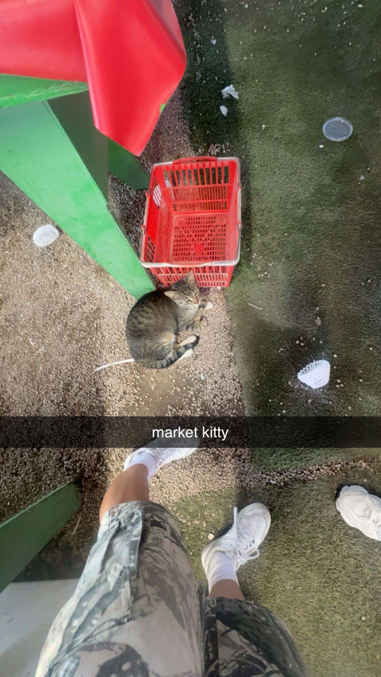 kaygcarlson snapchat image archive image