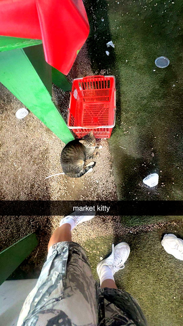 kaygcarlson image ~ Altpins