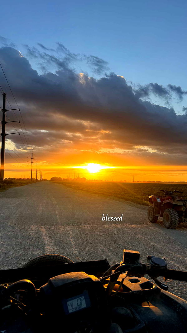 kaygcarlson image ~ Altpins