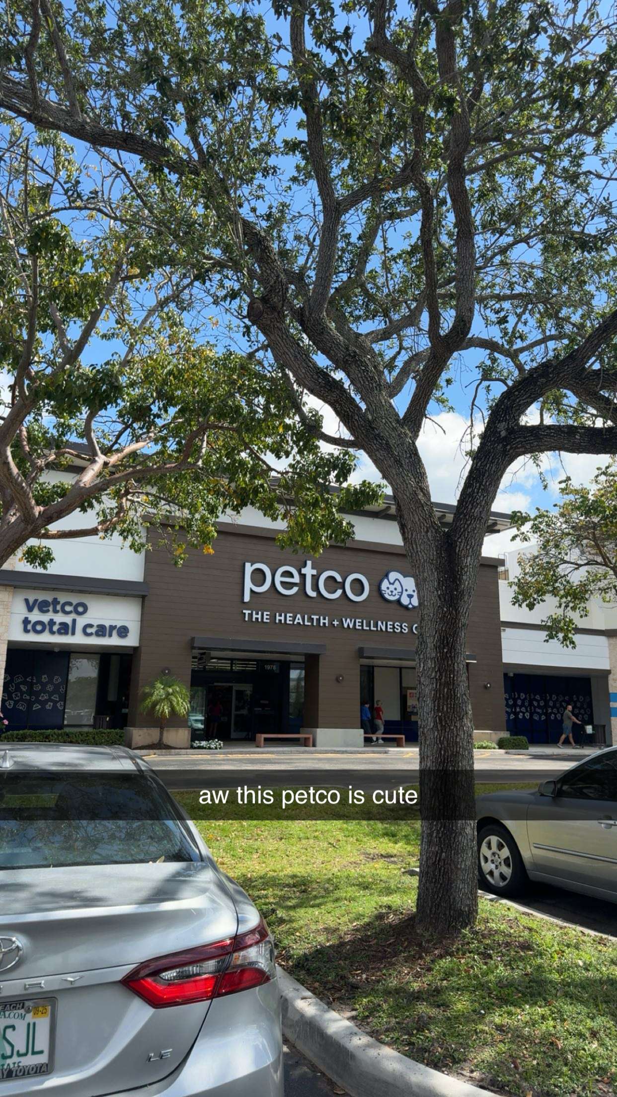 kaygcarlson snapchat image archive image