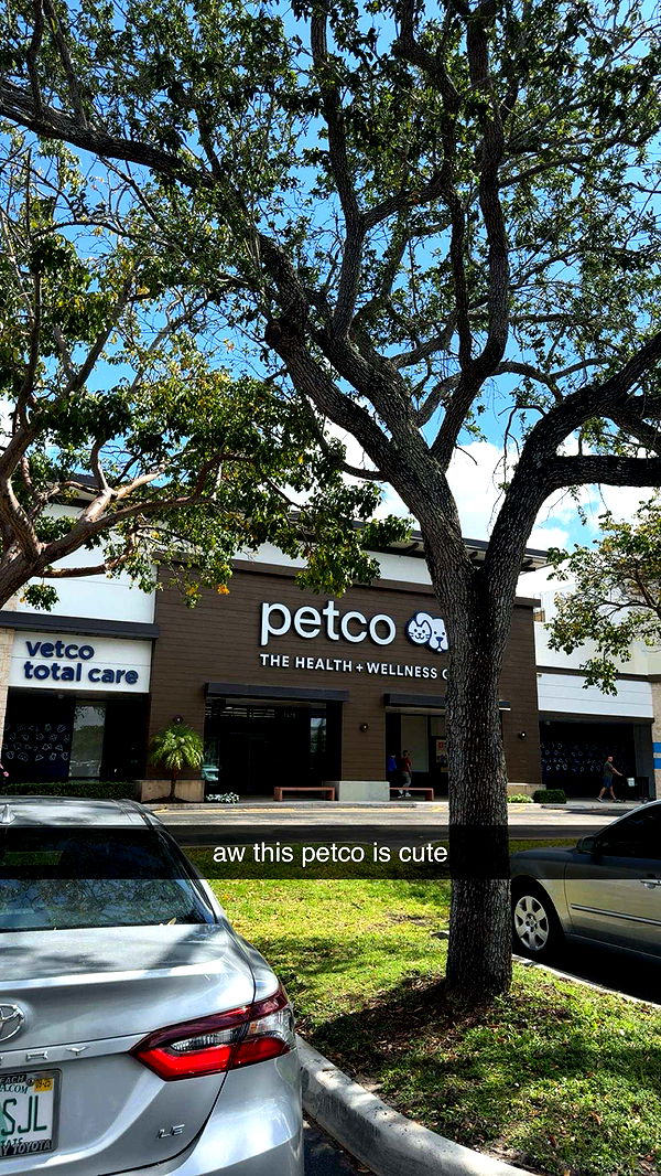 kaygcarlson image ~ Altpins