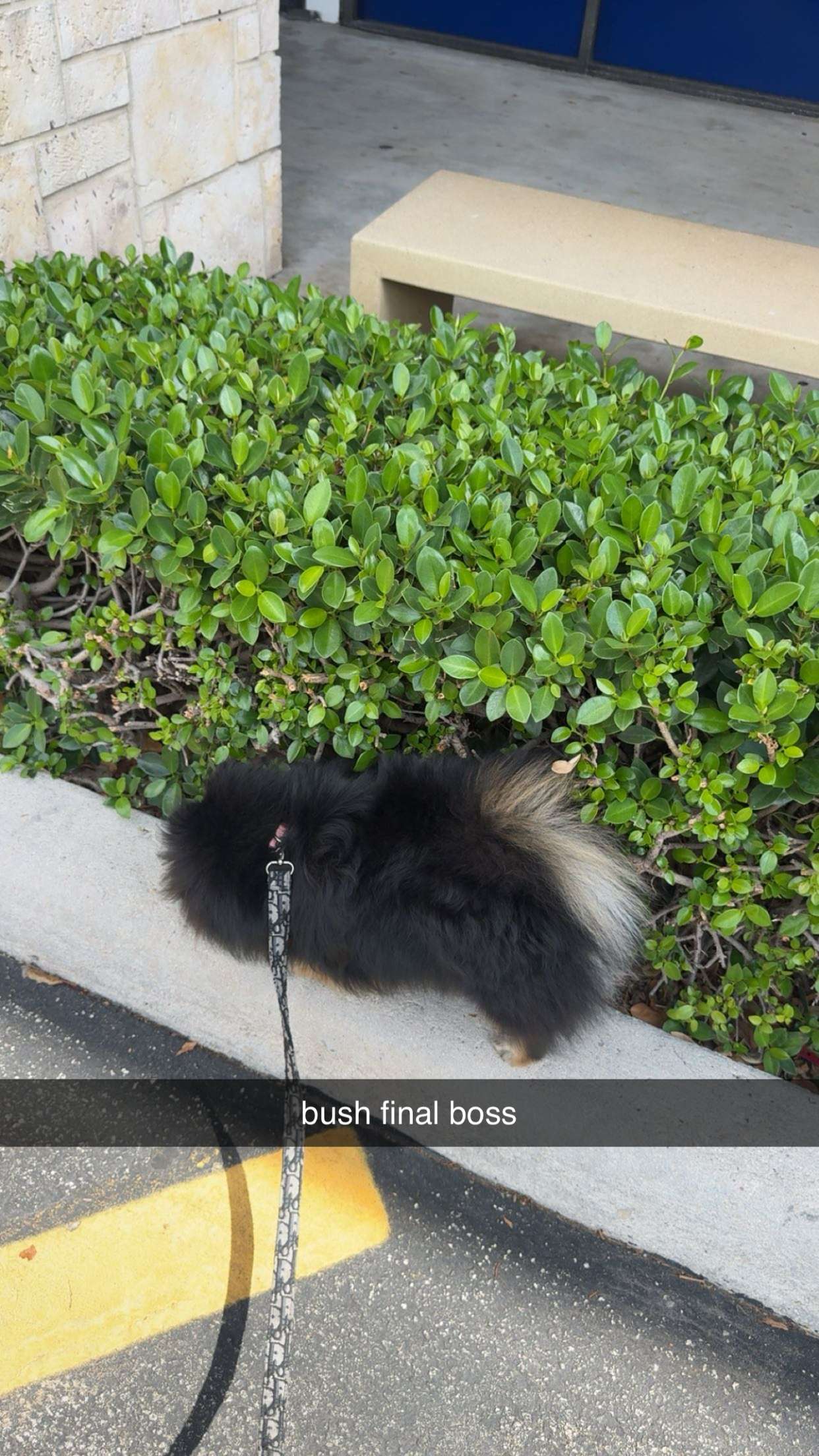 kaygcarlson snapchat image archive image