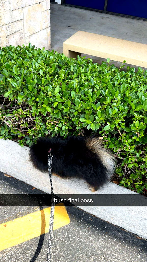 kaygcarlson image ~ Altpins