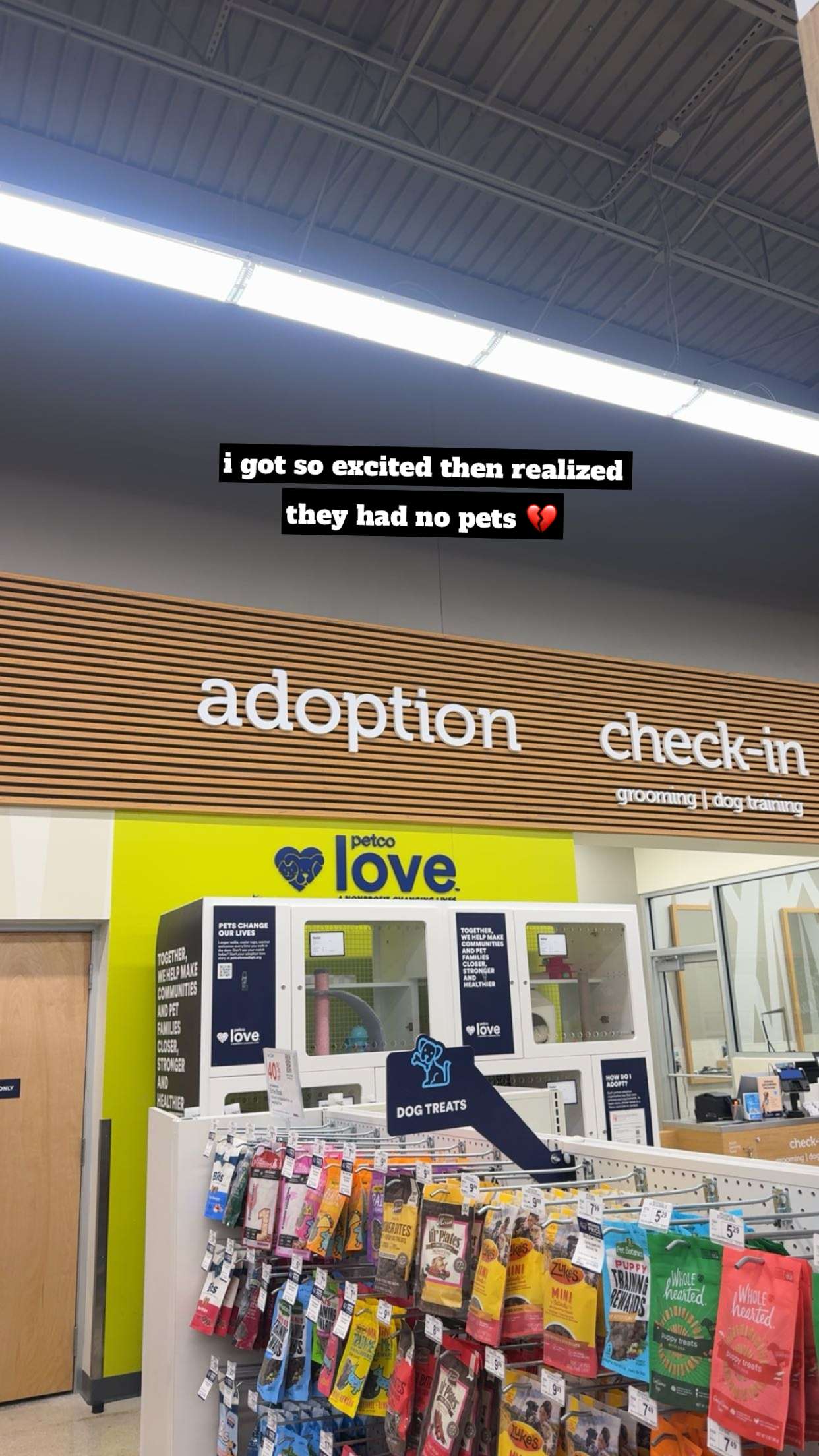 kaygcarlson snapchat image archive image