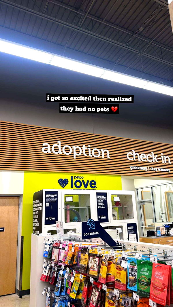 kaygcarlson image ~ Altpins