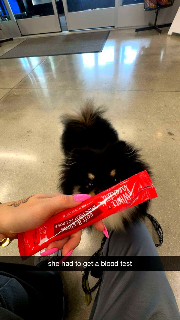 kaygcarlson image ~ Altpins