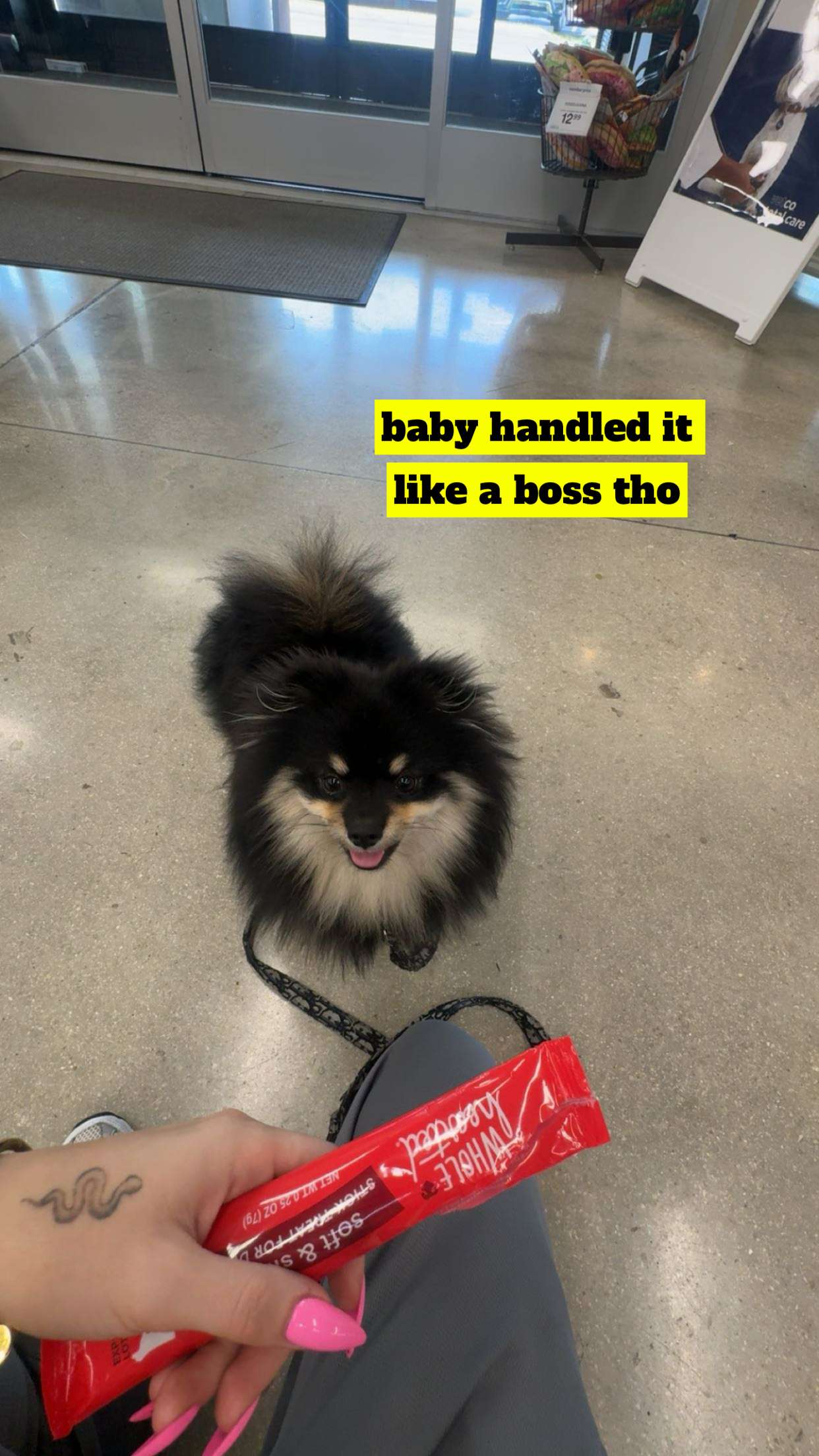 kaygcarlson snapchat image archive image