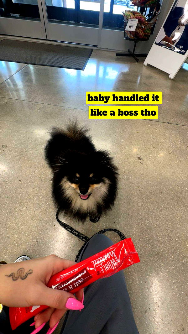 kaygcarlson image ~ Altpins