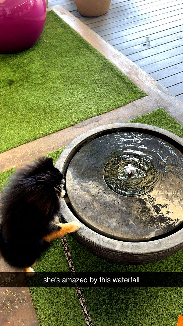 kaygcarlson image ~ Altpins