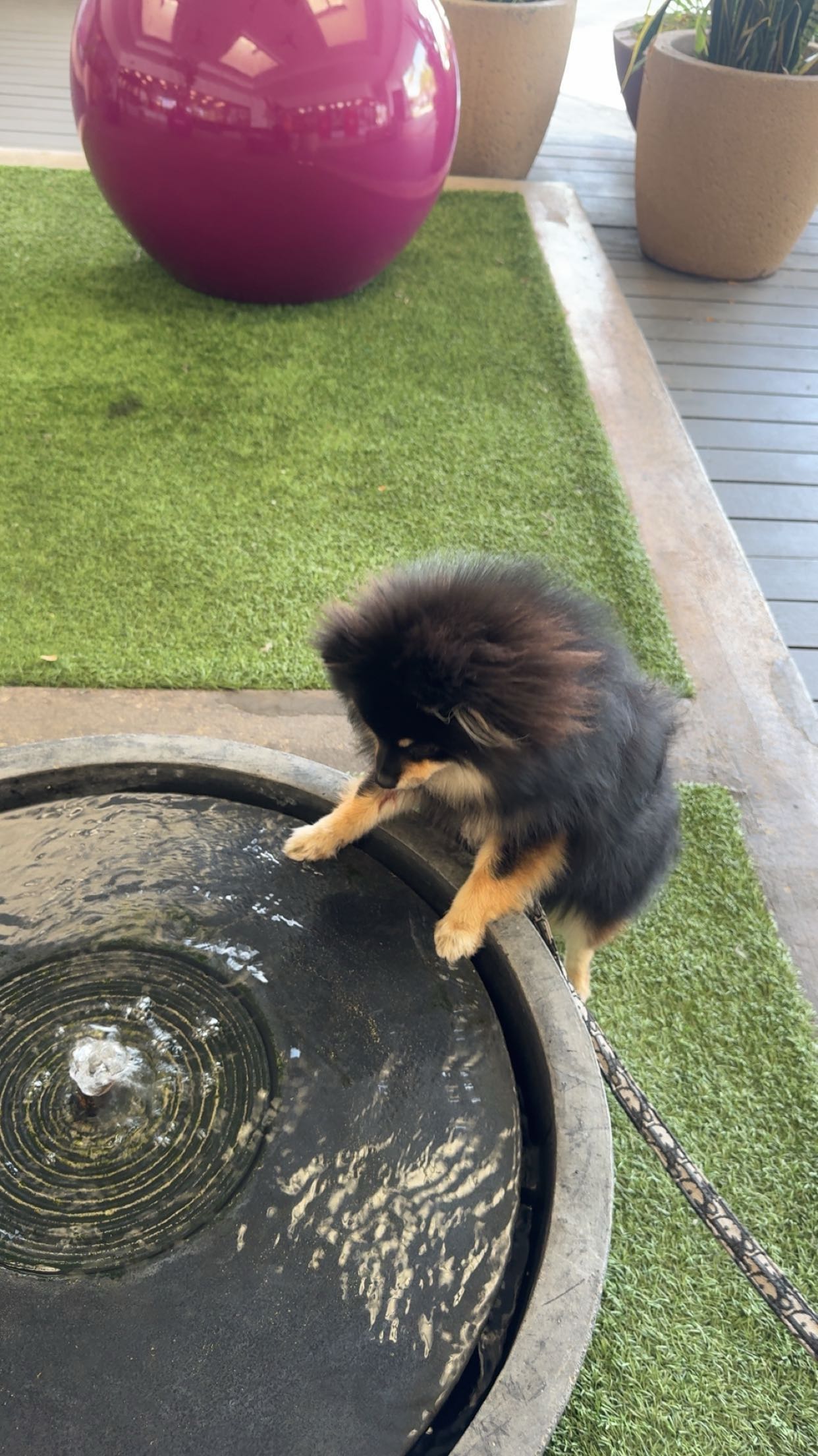 kaygcarlson snapchat image archive image