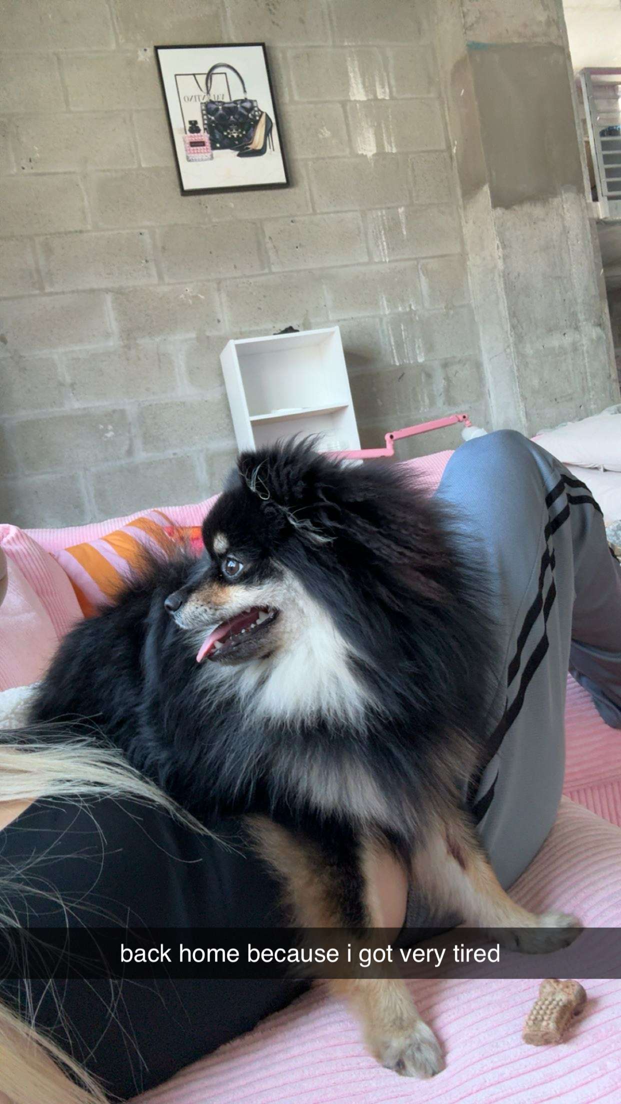 kaygcarlson snapchat image archive image