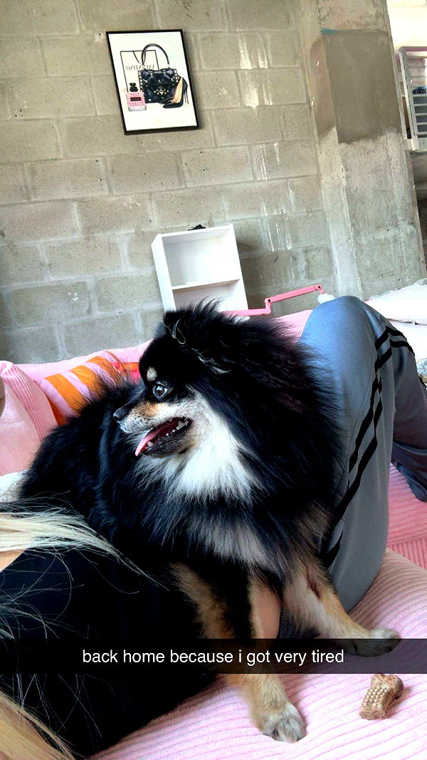 kaygcarlson image ~ Altpins