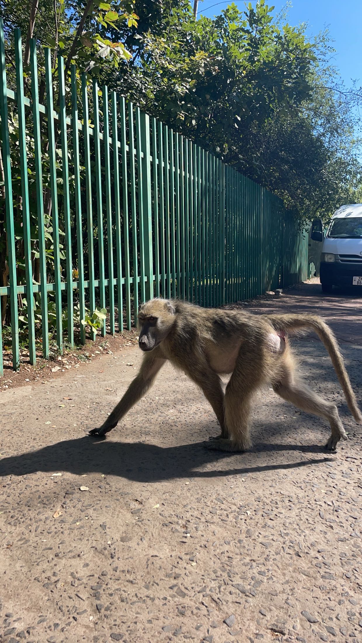 kaygcarlson snapchat image archive image