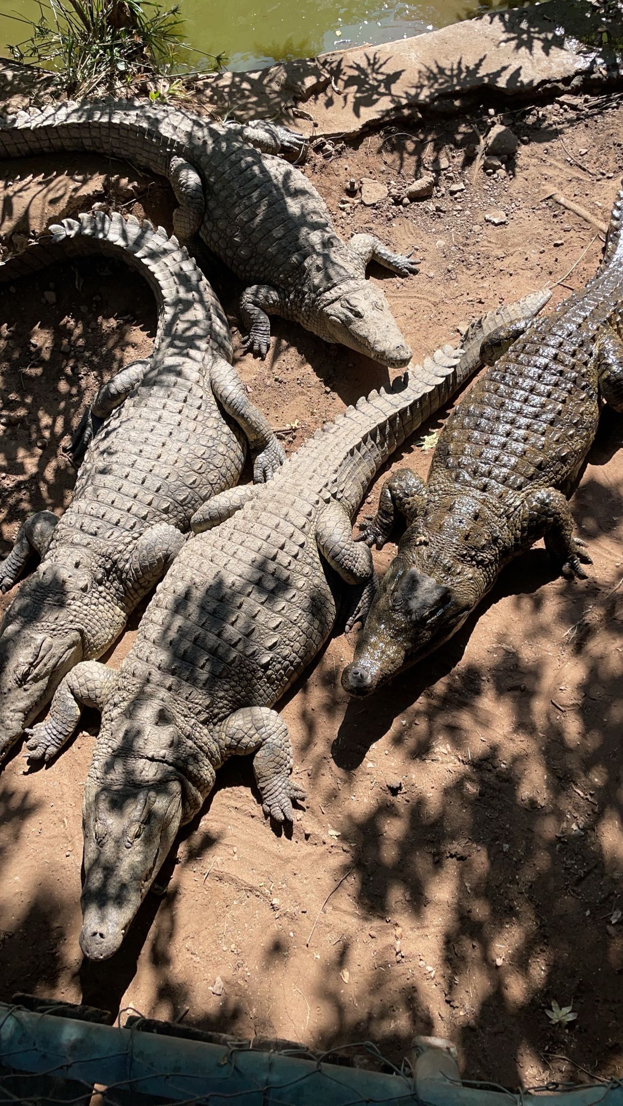 kaygcarlson snapchat image archive image