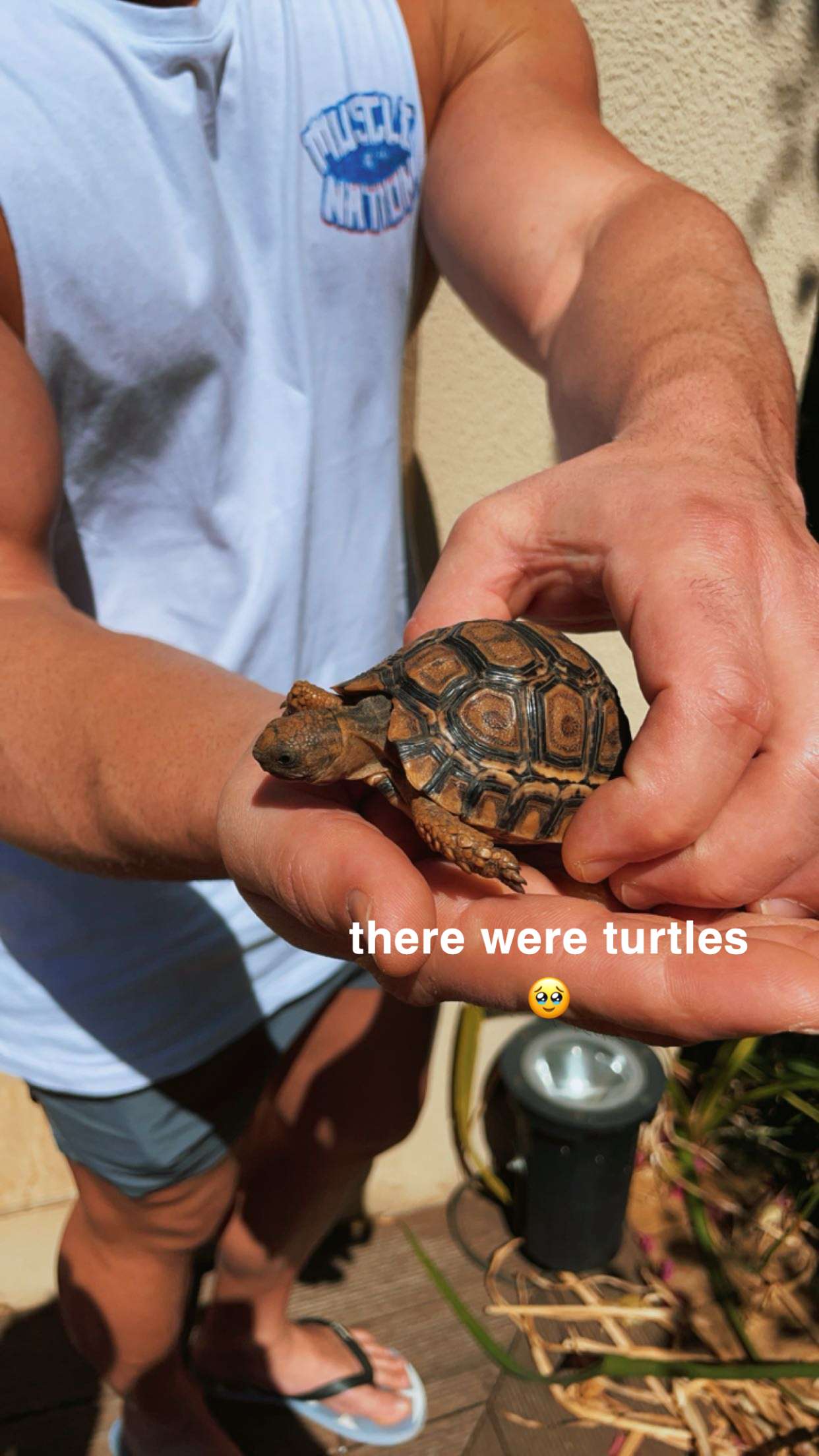 kaygcarlson snapchat image archive image