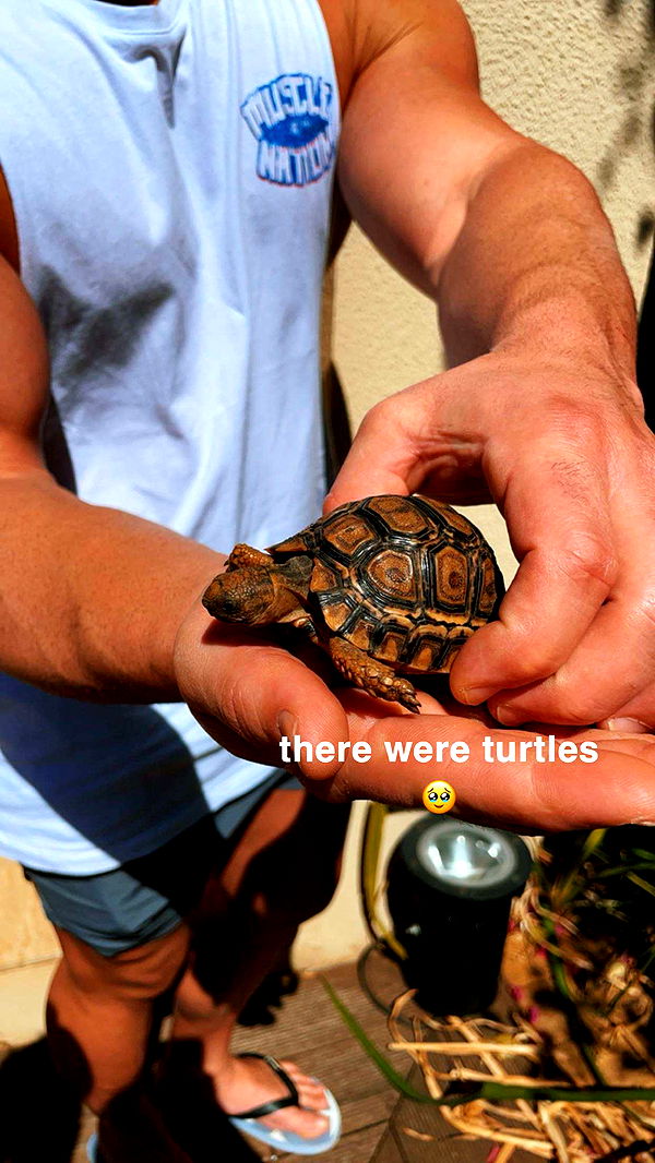 kaygcarlson image ~ Altpins