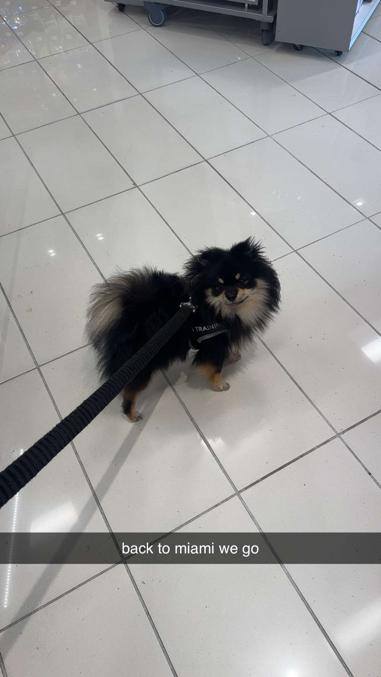 kaygcarlson snapchat image archive image